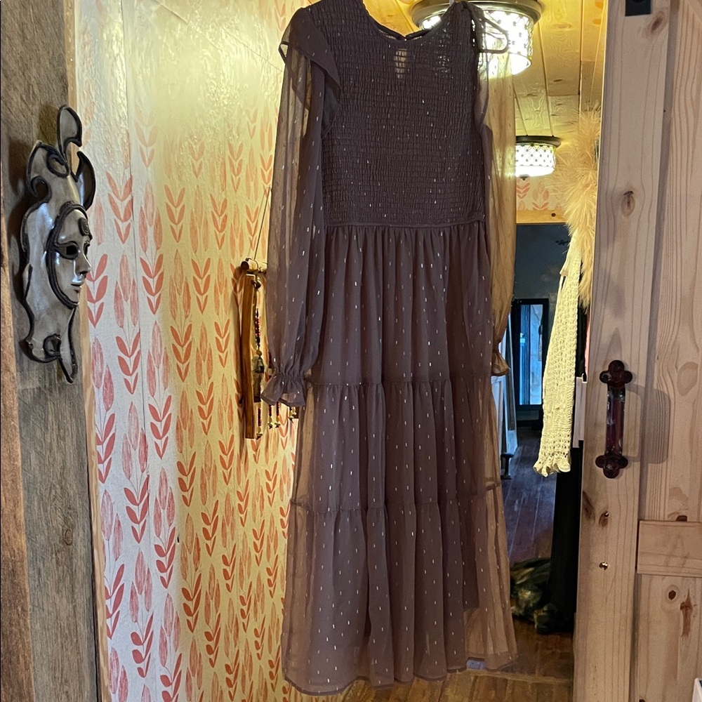 August Sky Elegant Sheer light Brown Dress with Gold Sparkles! Size M